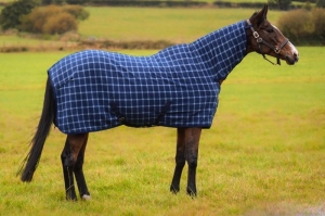 Why Do Horses Need Fleece Rugs? Unwrapping the Science of Warmth and Wellness